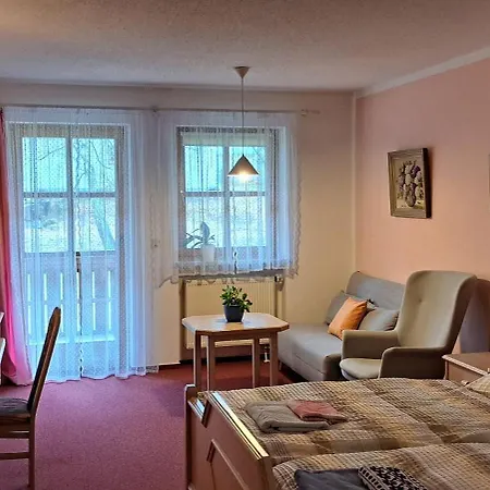 公寓 Arberapartment 拜尔里舍艾森施泰恩