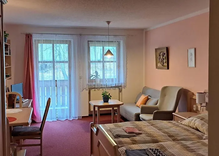 公寓 Arberapartment 拜尔里舍艾森施泰恩